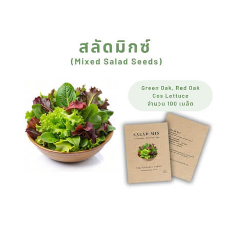 เมล็ดพันธุ์ผักสลัดมิกซ์ LETPOT ไทย ออแกนิค ฟาร์ม_2